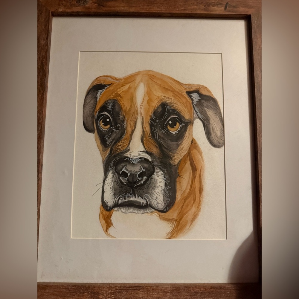 Boxer Dog Portrait